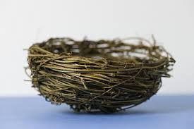 empty nest