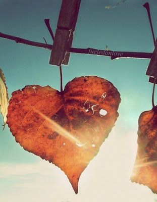 04a3c893c0369642e514ea4169c4558f