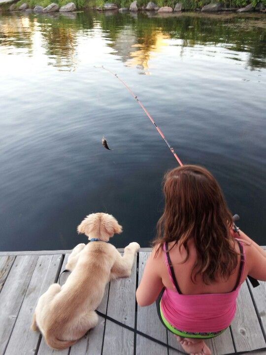 86ec1341cd2e3722595da0e9d3e9cc8a