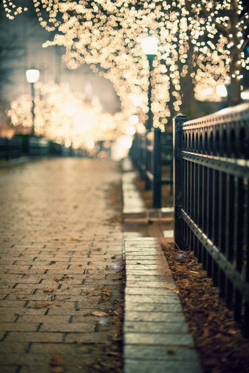 54c3695ddf074f7040abcc5cec3b12c8